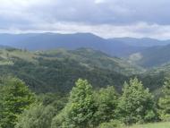 Підчумаль - Останні фото