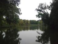 Сильченкове - Останні фото