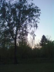 Пильки з panoramio.com