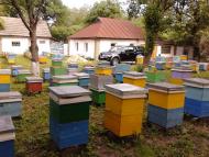 Оріхівщина з panoramio.com