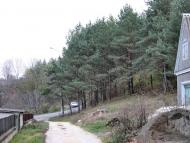 Маків з panoramio.com