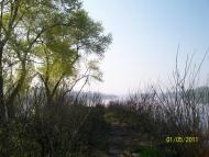 Кушугум з panoramio.com