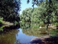 Голосків з panoramio.com