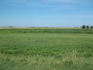 Мар'янівка з panoramio.com