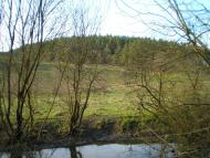 Лісківці з panoramio.com