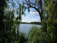 Тельманове з panoramio.com