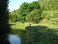 Нефедівці з panoramio.com