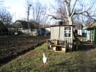 Михайлівці з panoramio.com