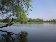 Терехи з panoramio.com