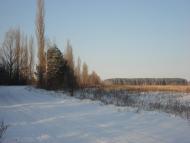 Іванівка з panoramio.com