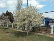 Павлопіль з panoramio.com