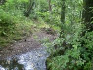 Біла Криниця з panoramio.com