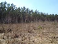 Кам'янка з panoramio.com