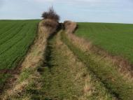 Корчів з panoramio.com