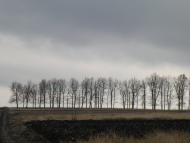 Студена з panoramio.com