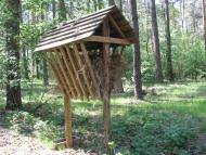 Дмитренки з panoramio.com