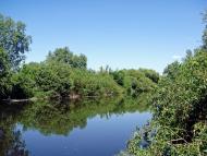 Голосків з panoramio.com