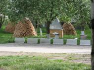 Капітанівка з panoramio.com