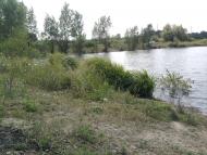 Ковильне з panoramio.com