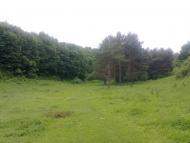 Журавлівка з panoramio.com