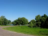 Криве - Останні фото