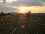 Іванів з panoramio.com