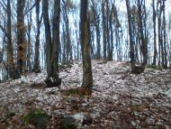 Хижа з panoramio.com