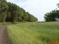 Олексіївка з panoramio.com