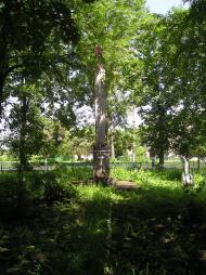 Яхнівці - Останні фото