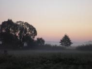 Квітневе з panoramio.com