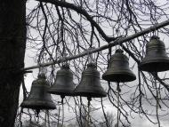 Домниця - Останні фото