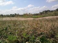 Ковильне з panoramio.com