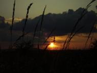 Іванів з panoramio.com