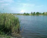 Гришки - Останні фото