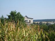 Копіївка з panoramio.com