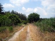 Нова Збур'ївка з panoramio.com