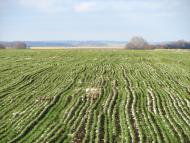 Цвітове з panoramio.com