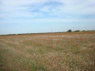 Придорожнє з panoramio.com