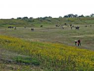 Дідівці з panoramio.com