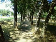 Луначарське з panoramio.com