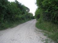 Носківці з panoramio.com