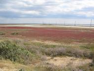 Соляне з panoramio.com