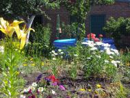 Одноробівка з panoramio.com