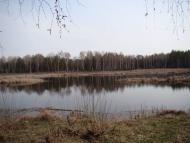 Жовтневе з panoramio.com