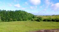 Терехове з panoramio.com