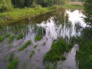 Іршанськ з panoramio.com