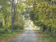 Іванівка з panoramio.com