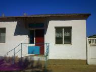 Каштанове з panoramio.com