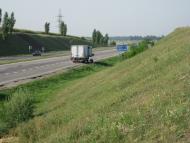 Кривець з panoramio.com