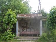 Михайлівці з panoramio.com